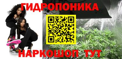 мяу мяу мука Лесосибирск