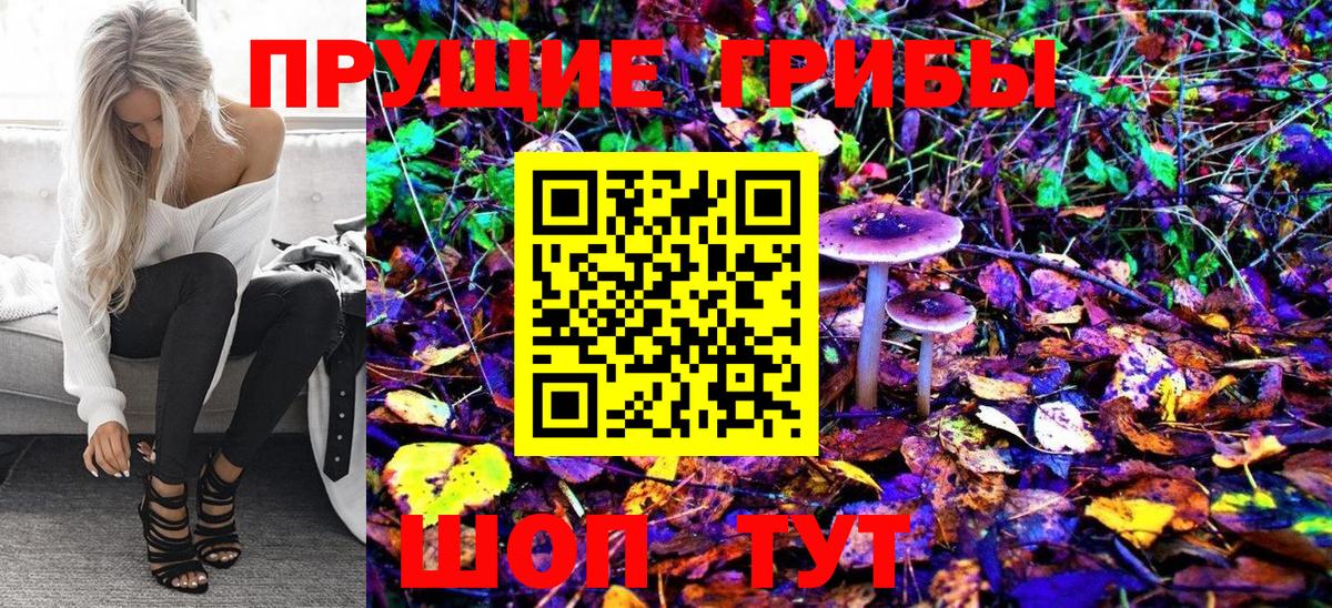 где найти   Псилоцибиновые грибы GOLDEN TEACHER  Псилоцибиновые грибы Magic Shrooms  Вход с VPN  Дзержинский 